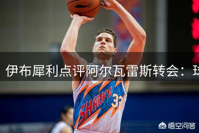 伊布犀利点评阿尔瓦雷斯转会：球员追求梦想不应被指责