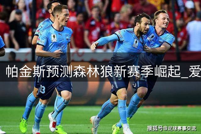 帕金斯预测森林狼新赛季崛起 爱德华兹有望冲击MVP